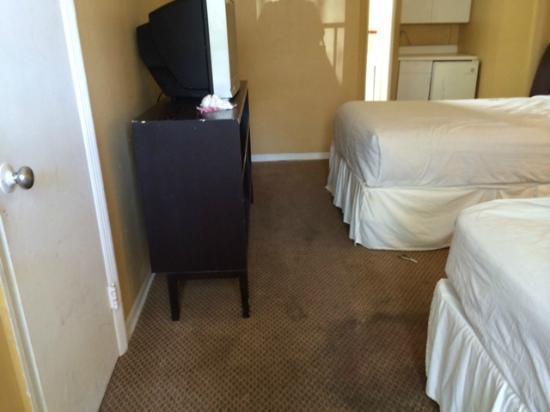 Avalon Waterfront Inn フォート・ローダーデール 部屋 写真